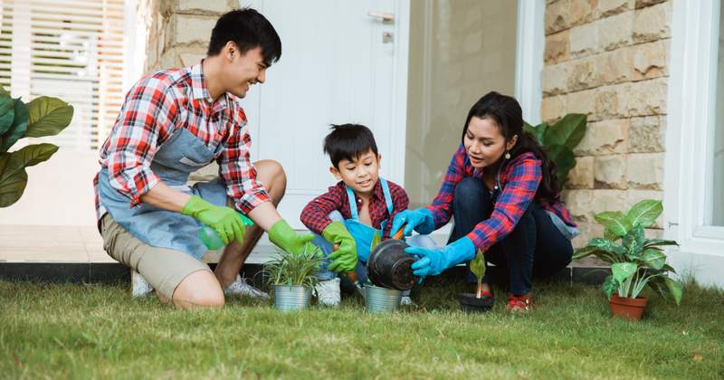 Family health insurance plans 