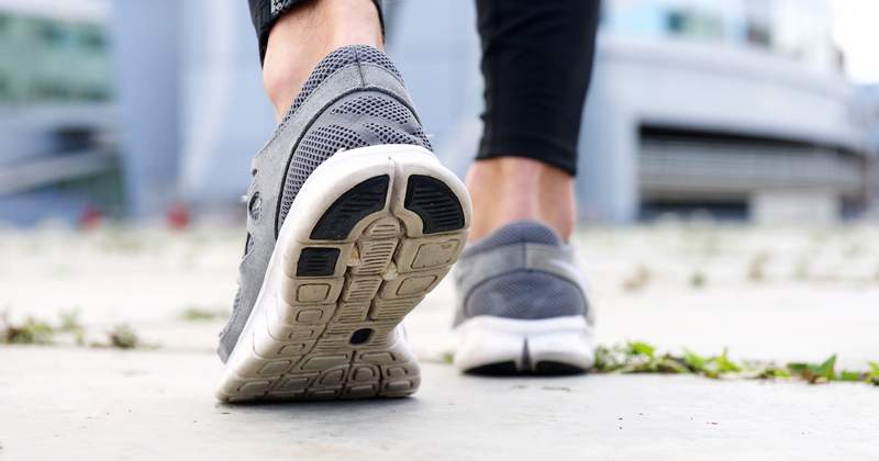 Food Work Wellness Program